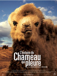 L'Histoire du chameau qui pleure streaming