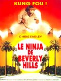 Le Ninja de Beverly Hills