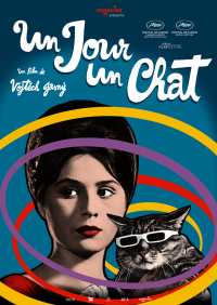 Un Jour un chat streaming