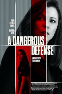 La famille du secret / A Dangerous Defense streaming