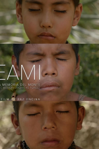 Eami, la mémoire de la forêt streaming