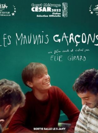 LES MAUVAIS GARÇONS streaming