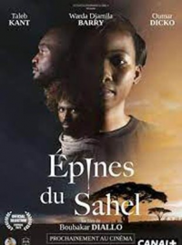 Épines du Sahel streaming