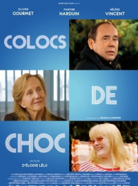 Colocs de choc (Retro Therapy) streaming