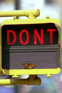 Don't