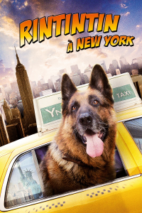 Rintintin à New-York streaming