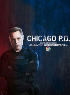 voir Chicago Police Department saison 12 épisode 1