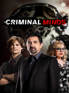 voir Esprits criminels saison 17 épisode 10