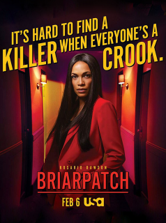 voir Briarpatch saison 1 épisode 10