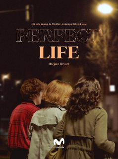 voir Perfect Life saison 1 épisode 6