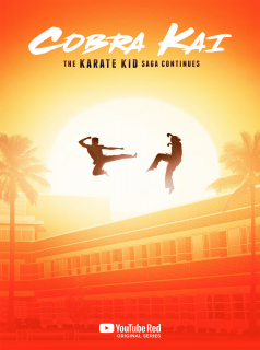 voir Cobra Kai saison 3 épisode 5