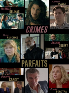 voir serie Crimes parfaits en streaming