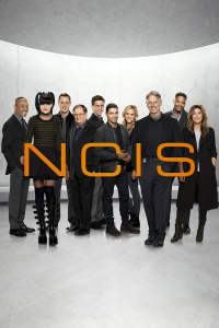 voir NCIS : Enquêtes spéciales saison 4 épisode 7