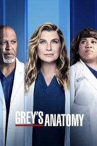 voir Grey's Anatomy saison 13 épisode 5