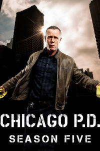 voir Chicago Police Department saison 5 épisode 22