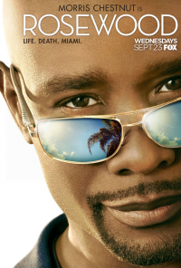 voir Rosewood Saison 2 en streaming 