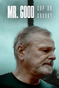 voir serie Mr. Good : Flic ou baron ? en streaming