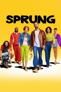 voir serie Sprung en streaming