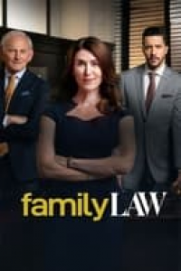 voir Family Law CA Saison 2 en streaming 