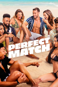 voir serie Perfect Match en streaming