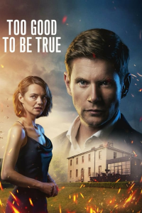 voir serie Too Good To Be True en streaming